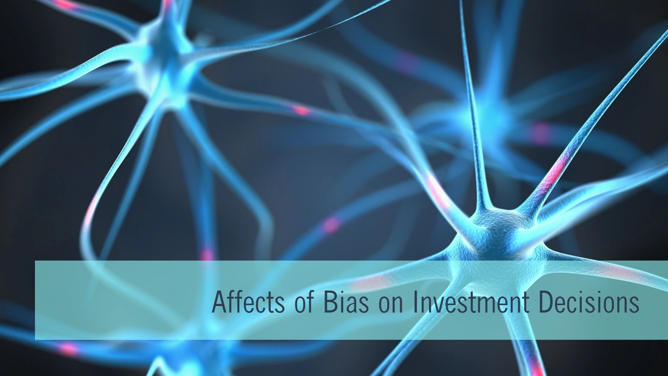 Biases and Investment Decisions